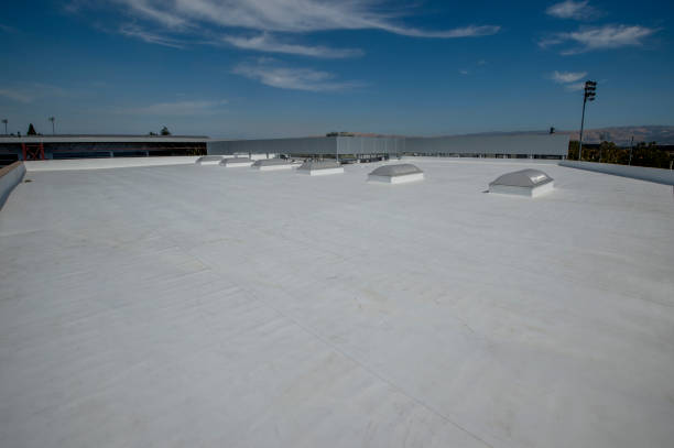 Best Solar Panel Roofing Installation  in Winchester, NV