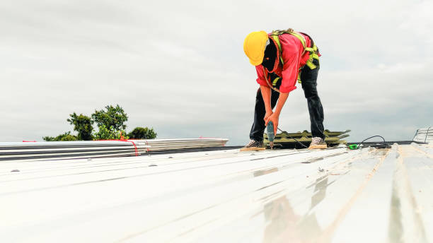 Best Steel Roofing  in Winchester, NV